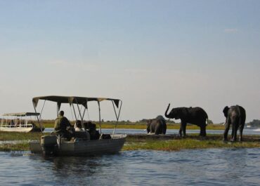 Sunway Botswana Chobe river cruise elephants
