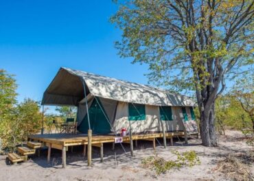 Sunway Botswana Moremi Elephant Pools Bruce Taylor-1431