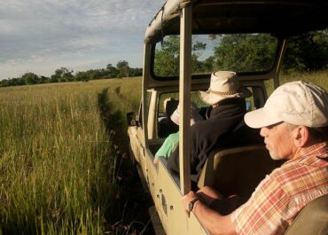 Sunway Botswana Moremi NP game drive